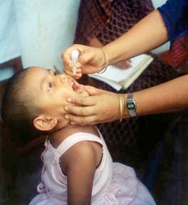 Polio à Gaza, un virus dérivé de la souche vaccinale SABIN