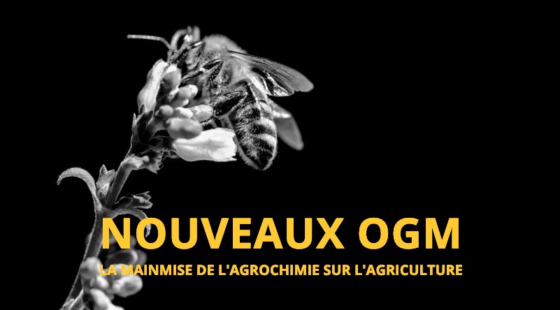 NON à la dérégulation des nouveaux OGM – Pétition