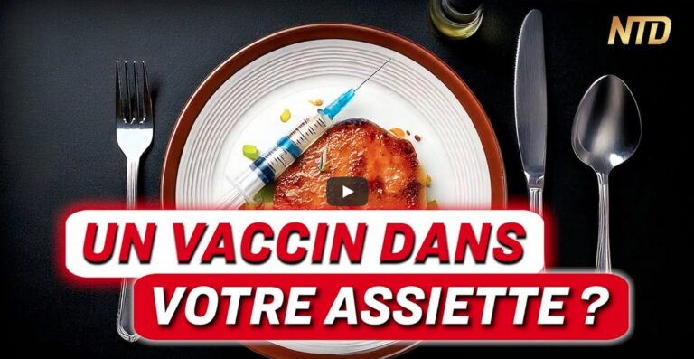 Les volailles françaises vaccinées par ARNm auto-amplifiant : y a-t-il un risque ?