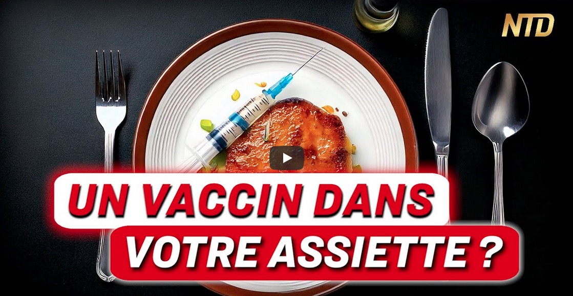 Les volailles françaises vaccinées par ARNm auto-amplifiant : y a-t-il un risque ?