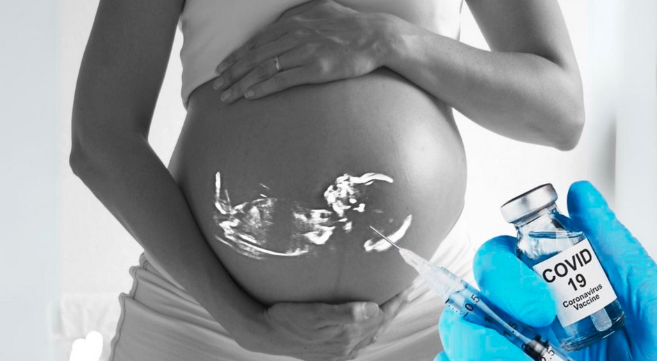 Pertes fœtales après la vaccination COVID-19 : une étude soulève des questions cruciales. Un pas vers plus de transparence