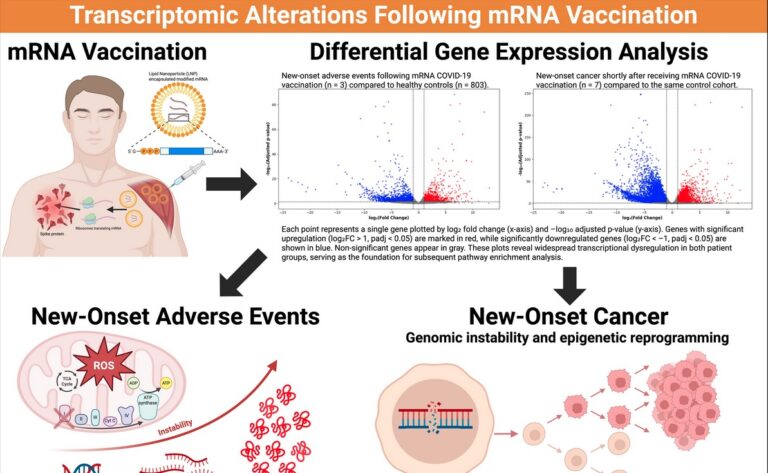 Vaccins à ARNm synthétiques et dysrégulation transcriptomique : données probantes issues d’événements indésirables et de cancers d’apparition récente après la vaccination