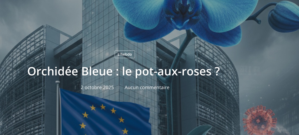 Orchidée Bleue : le pot-aux-roses ?