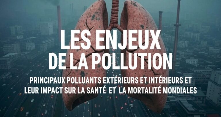Les Enjeux de la Pollution – Principaux Polluants Extérieurs et Intérieurs et leur Impact sur la Santé et la Mortalité Mondiales