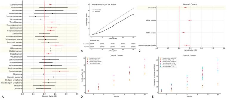 Risques de cancers à un an associés à la vaccination contre la COVID-19 : une vaste étude de cohorte populationnelle en Corée du Sud