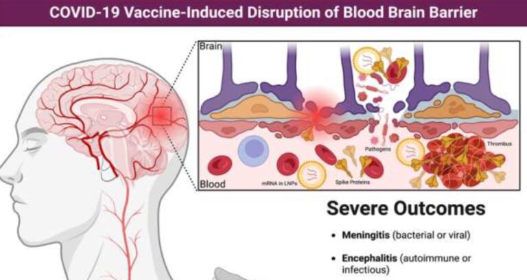 De nouvelles études sur les effets indésirables des injections ARNm contre le covid