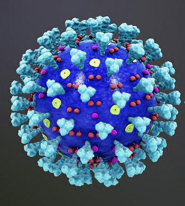 Persistance sans précédent de l&rsquo;ARNm du vaccin, de l&rsquo;ADN plasmidique, de la protéine Spike et d&rsquo;une dérégulation génomique plus de 3,5 ans après la vaccination par ARNm contre la COVID-19