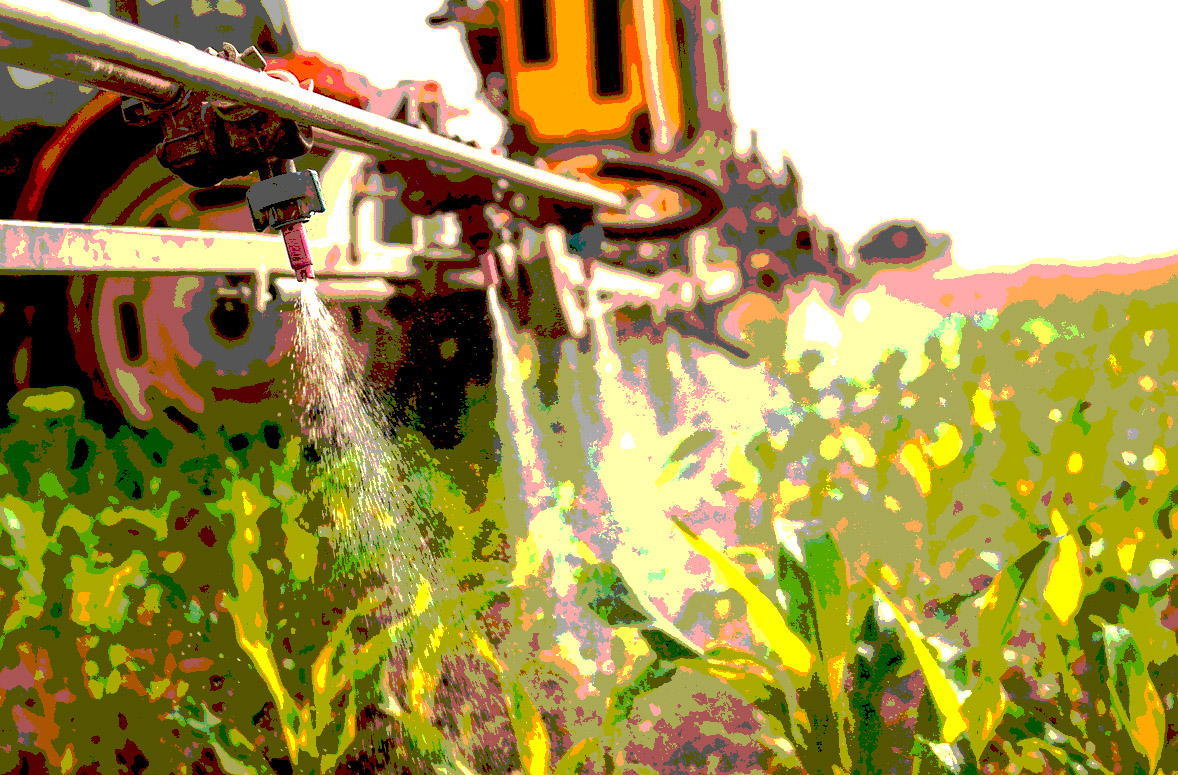 Un pesticide génétique encore inconnu, autorisé sans évaluation des risques en Belgique