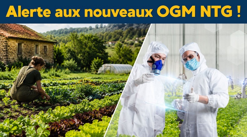 NTG : nouvelle menace OGM sur l’Europe.  #1La trahison des eurodéputés